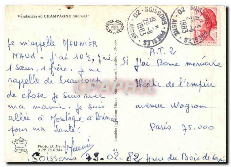 Postcard Modern Vendagnes Champagne Marne