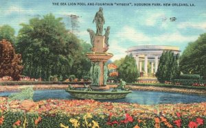 Vintage Postcard 1941 Sea Lion Pool Fountain Hygeia Audubon Park New Orleans LA