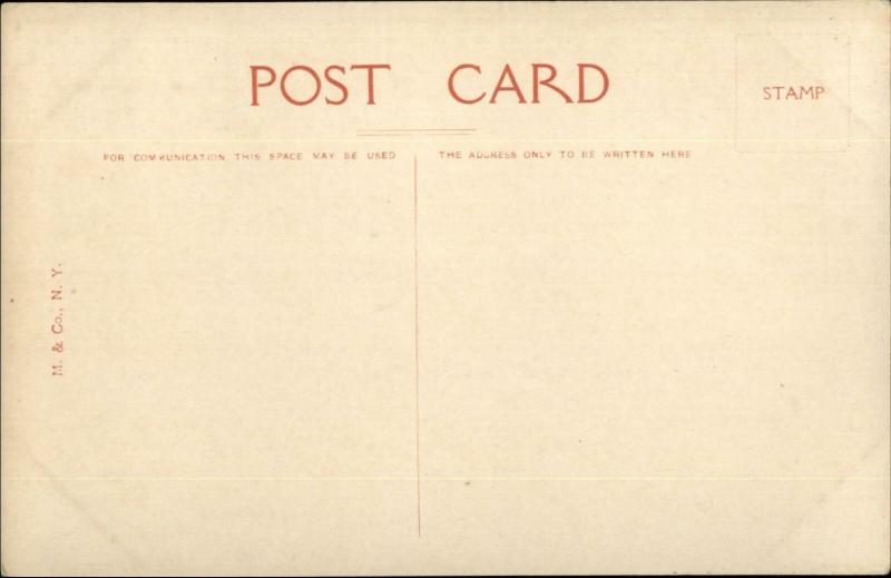 Coney Island NY Steeplechase Park Interior c1910 Postcard