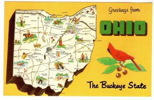 Greetings from Ohio Buckeye State, Pictorial Map, Cardinal