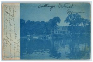 1908 Cottage Lake View Cyanotype Detroit Minnesota MN RPPC Photo Postcard