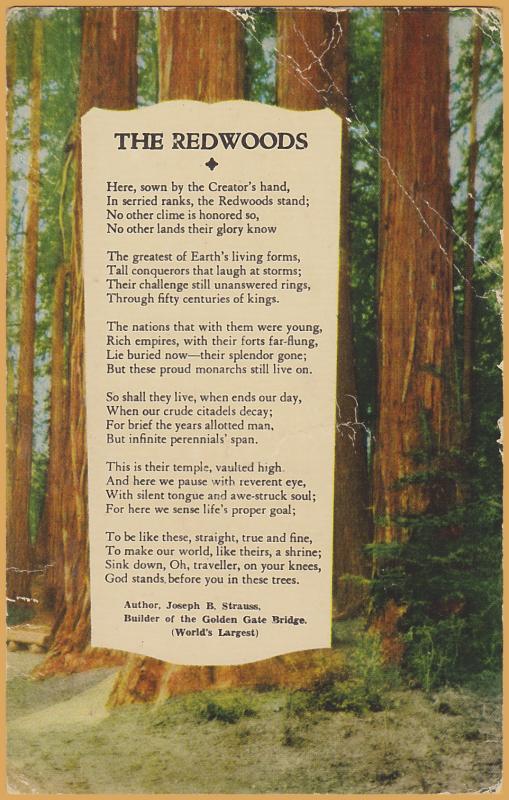 The Redwoods a poem by Joseph B. Strauss, Builder of Golden Gate Bridge