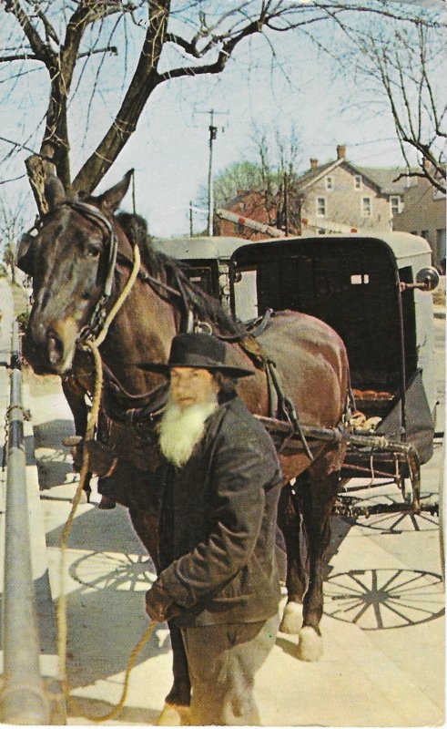 Ohio Amish Man and his Horse and Buggy at General Store