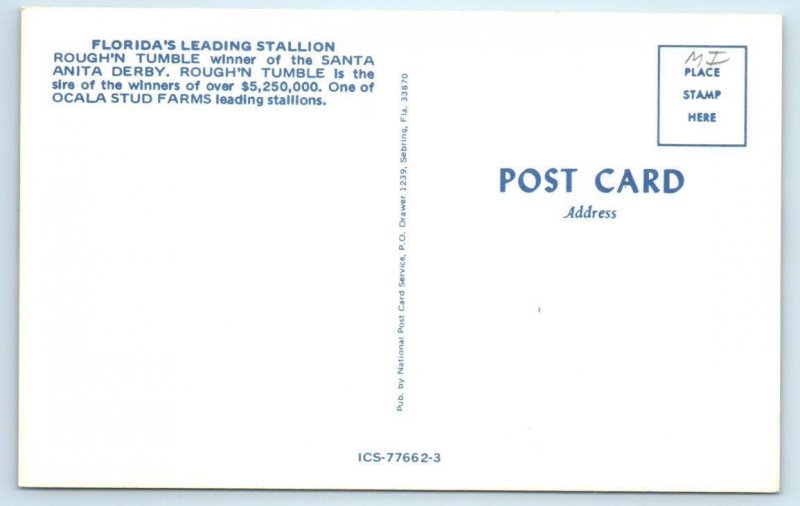 2 Postcards OCALA, Florida FL~ Stud Farm ROUGH 'N TUMBLE Horse Tartan Farm 1960s 