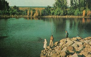 Vintage Postcard 1968 Catching Fish In Lake Okeechobee Fishing Clewiston Florida