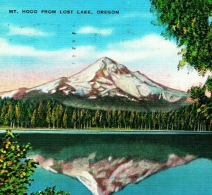 Mount Hood Oregon OR From Lost Lake Vtg Linen Postcard