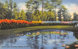 Swan lake Gardens Sumter, South Carolina