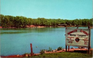 Mammoth Spring Arkansas Largest Spring Highway 63 Vintage Unposted Postcard