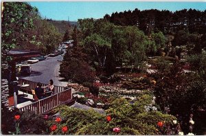 Chrome GARDENS SCENE Hamilton Ontario ON AH9969