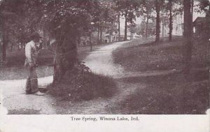 Indiana Winona Lake Tree Spring