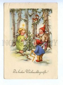 195902 GERMANY gnomes & angel squirrel Vintage postcard