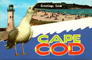 Greetings From Cape Cod Massachusetts