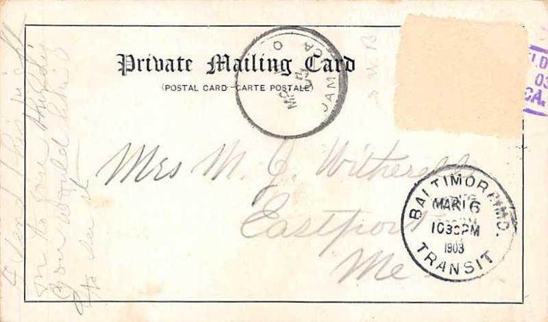 STR Cananova United Fruit Co. Private Mailing Card 1903 