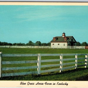 1960 Lexington, KY Blue Gras Horse Farm Calumet Farm Thoroughbred Horse PC A239