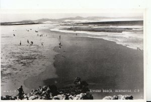 South Africa Postcard - Riviera Beach - Hermanus - Ref 14998A