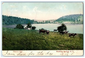 1910 Allen's Lake Cows Scene Richfield Springs New York NY Posted Trees Postcard