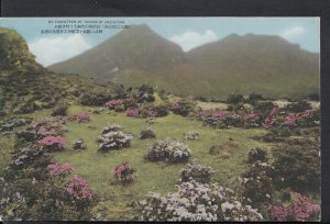 Japan Postcard - Mount Fuken From Mount Nodake at Unzen Park A5322