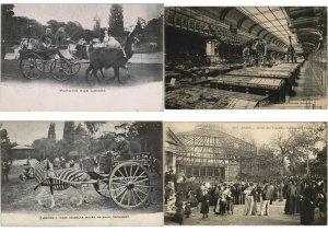 ZOO JARDIN DE PLANTES ANIMAUX 200 CPA pre-1930 (L4066)