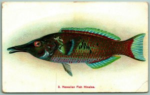 Hawaiian Fish Hinalea Hawaiian Curio Company HI HT UNP PMC Postcard E13 