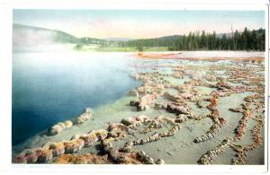 YELLOWSTONE, SAPPHIRE POOL, UPPER GEYSER BASIN, DIVIDED BACK