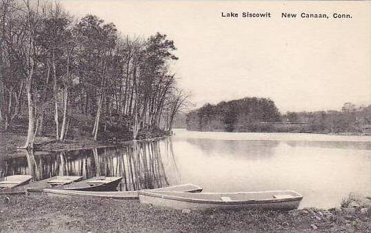 Connecticut New Canaan Lake  Siscowit Albertype