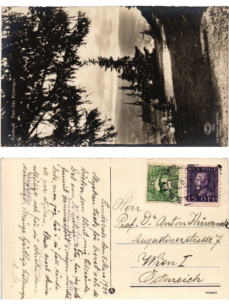 Carte Postale CPA SUNDSVALL Stadsparken - Suède - Vintage (419768)