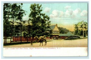 1905 Camel House, Roger Williams Park, Providence Rhode Island RI Postcard