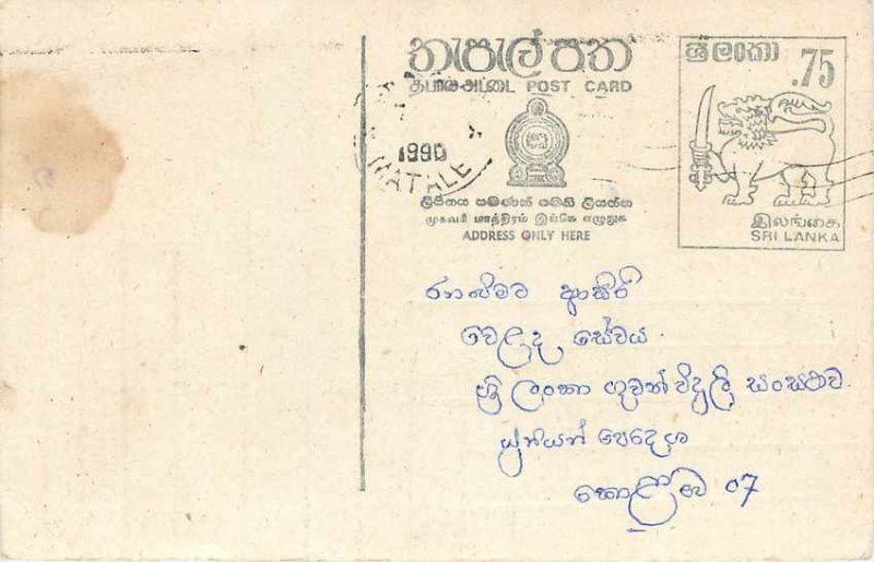 Entier Postal Stationery Postal Sri Lanka Ceylon Lion