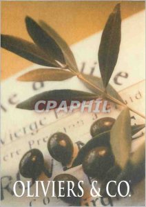 Postcard Modern Olives Co olive leaves in Sablon