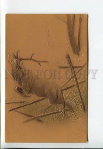 3183146 Deer hunting embossed vintage postcard