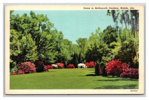 Scene In Bellingrath Gardens Mobile Alabama AL UNP Linen Postcard J19