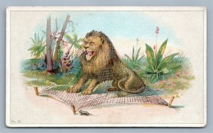 YORK PA LECKERING PIANO VICTORIAN TRADE CARD LION & MOUSE