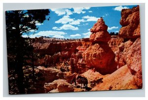 Vintage 1960's Postcard Saddle Horse Trail Bryce Canyon National Park Utah