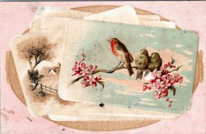 Trade Card Woolson Spice - Birds on tree branch forget me nots