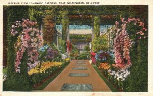 Vintage Postcard 1939 Interior View Longwood Gardens Near Wilmington Delaware DE