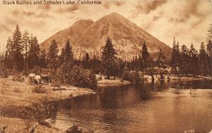 Shafer Lake California~Man in Small Boat~Horses by Bushes~Black Butte Mtns~c1910