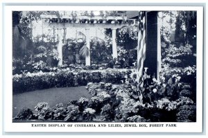 c1940 Easter Display Cineraria Lilies Jewel Box Forest Park St Louis MO Postcard