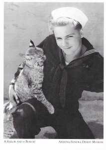 Very Early Arizona-Sonora Desert Museum Sailor & Bob Cat Tucson AZ