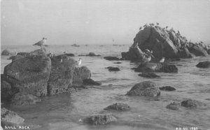 California Gull Rock Pacific Grove RPPC Photo Postcard Monterey Pillsbury 5629