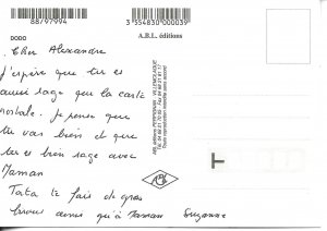 Dodo cat Modern French photo postcard