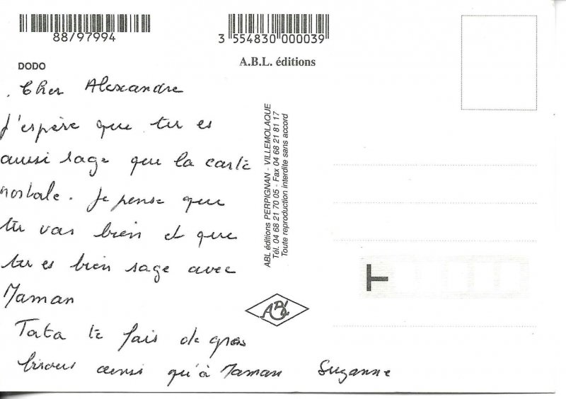 Dodo cat Modern French photo postcard