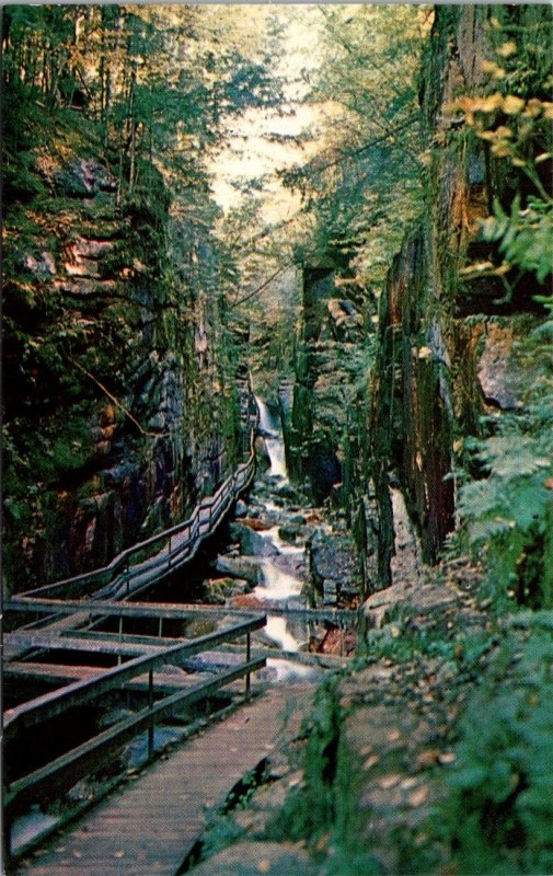 New Hampshire, Franconia Notch - The Flume Gorge - [NH-303]