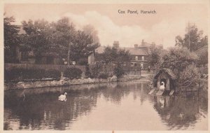 Harwich Cox Lake River Pond Bird House Essex Antique Postcard