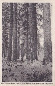 California San Bernardino Mountains Big Timber Bear Valley Albertype