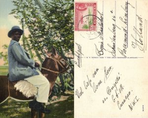 curacao, N.W.I., Man on Horse or Donkey (1948) Postcard