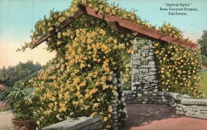Vintage Postcard Gold Of Ophir Rose Covered Pergola Home Of Roses California CA