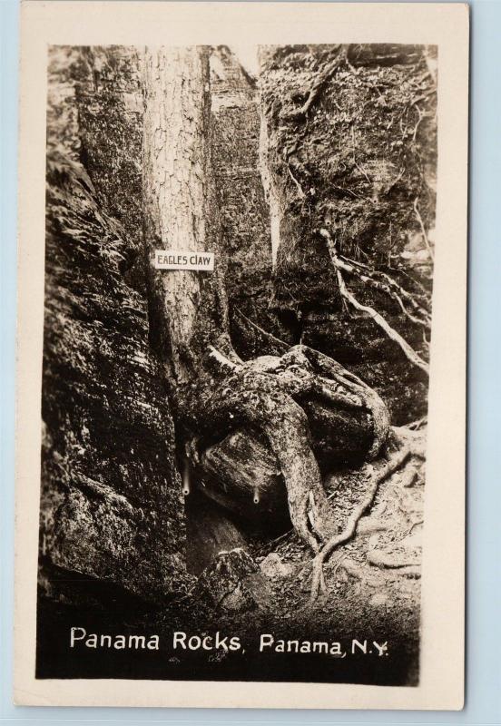 Postcard NY Panama Eagles Claw Tree Panama Rocks RPPC Real Photo E02