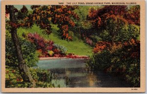 Waukegan Illinois ILL, The Lily Pond, Grand Avenue Park, Vintage Postcard