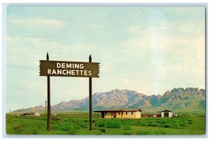 c1950's New Homes In Lovely Deming Ranchettes View Deming New Mexico NM Postcard
