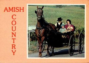 Pennsylvania Amish Country Amish Family With Horse and Buggy 1983